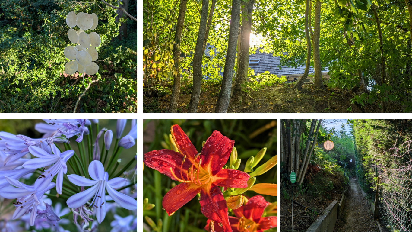Cabinet bien-être à Limours entouré de nature avec jardin, sous-bois, fleurs et espace propice à la détente.