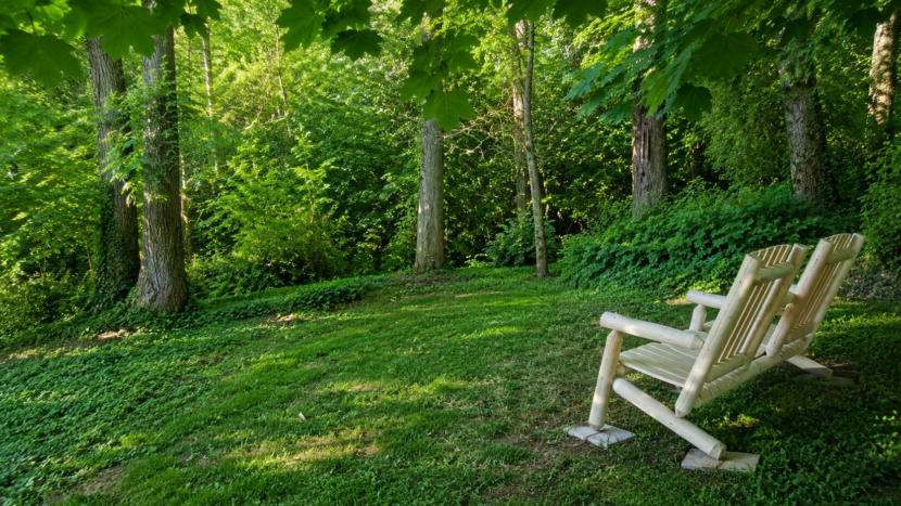 Cabinet bien-être à Limours espace de méditation dans le sous bois